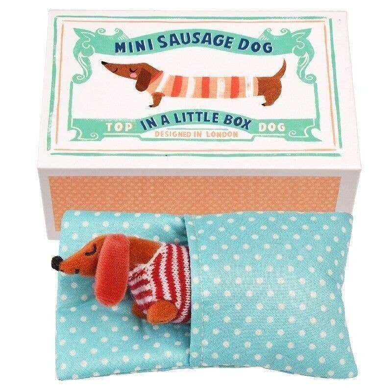 Rex - Mini Sausage Dog soft toy In A Little Box | Scout & Co
