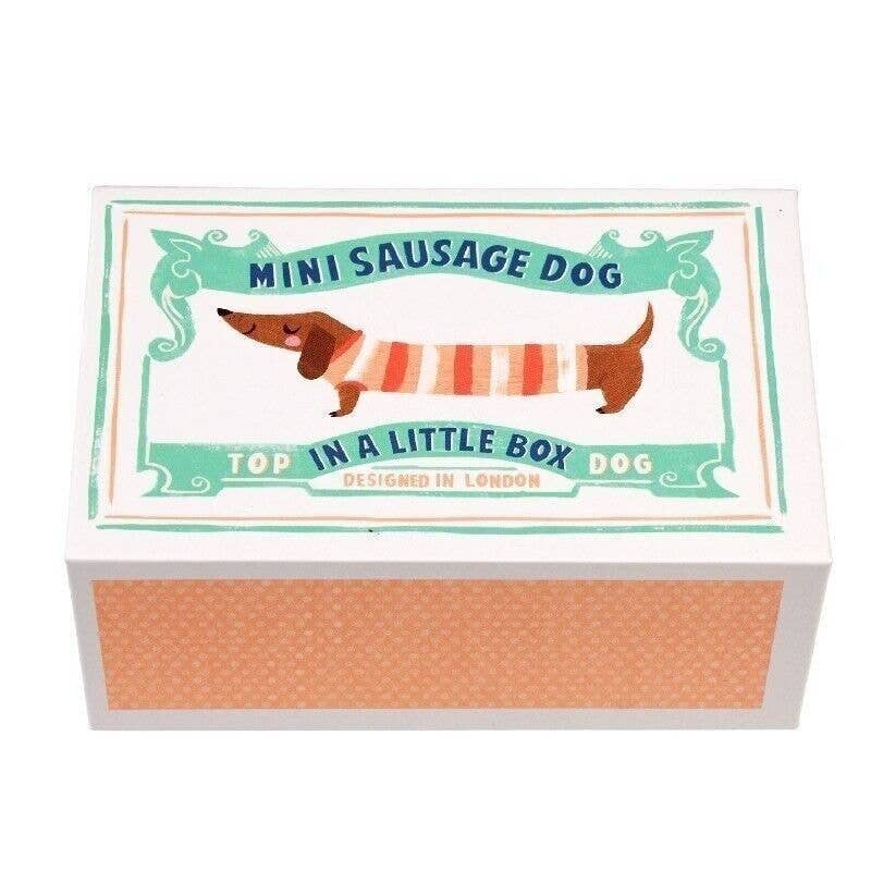 Rex - Mini Sausage Dog soft toy In A Little Box | Scout & Co