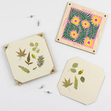Flower Press - Teasel | Scout & Co