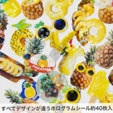 Haco - Pineapple stickers box | Scout & Co