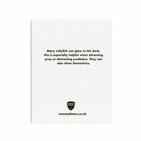 Scout Editions - Jellyfish mini card | Scout & Co