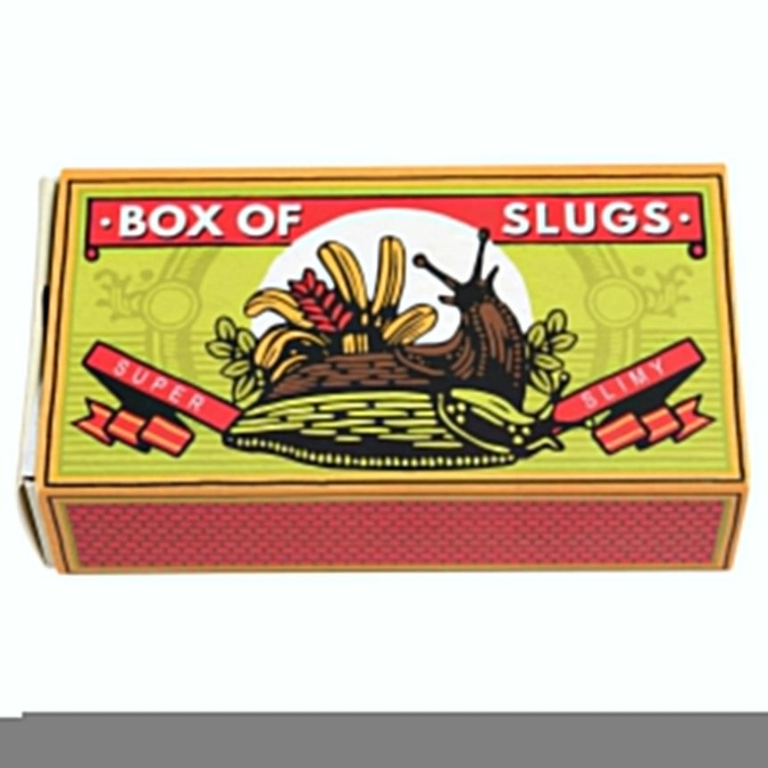 Rex - Box of Two Slimy Slugs | Scout & Co