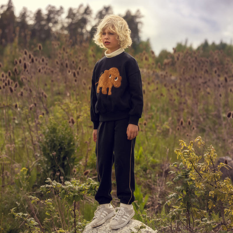 Mini Rodini - Mammoth chenille sweatshirt | Scout & Co