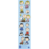 Pipsticks - Peanuts stickers grab bag | Scout & Co