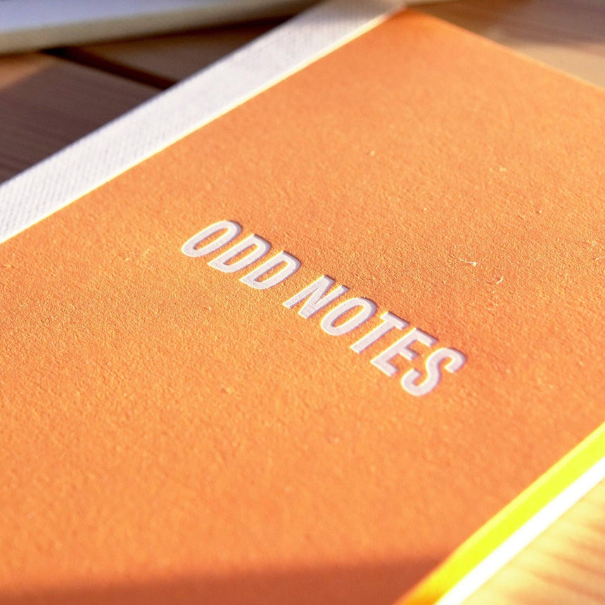 Odd Goose - Odd Notes classic pocket notebook - set of 3 | Scout & Co