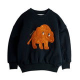 Mini Rodini - Mammoth chenille sweatshirt | Scout & Co