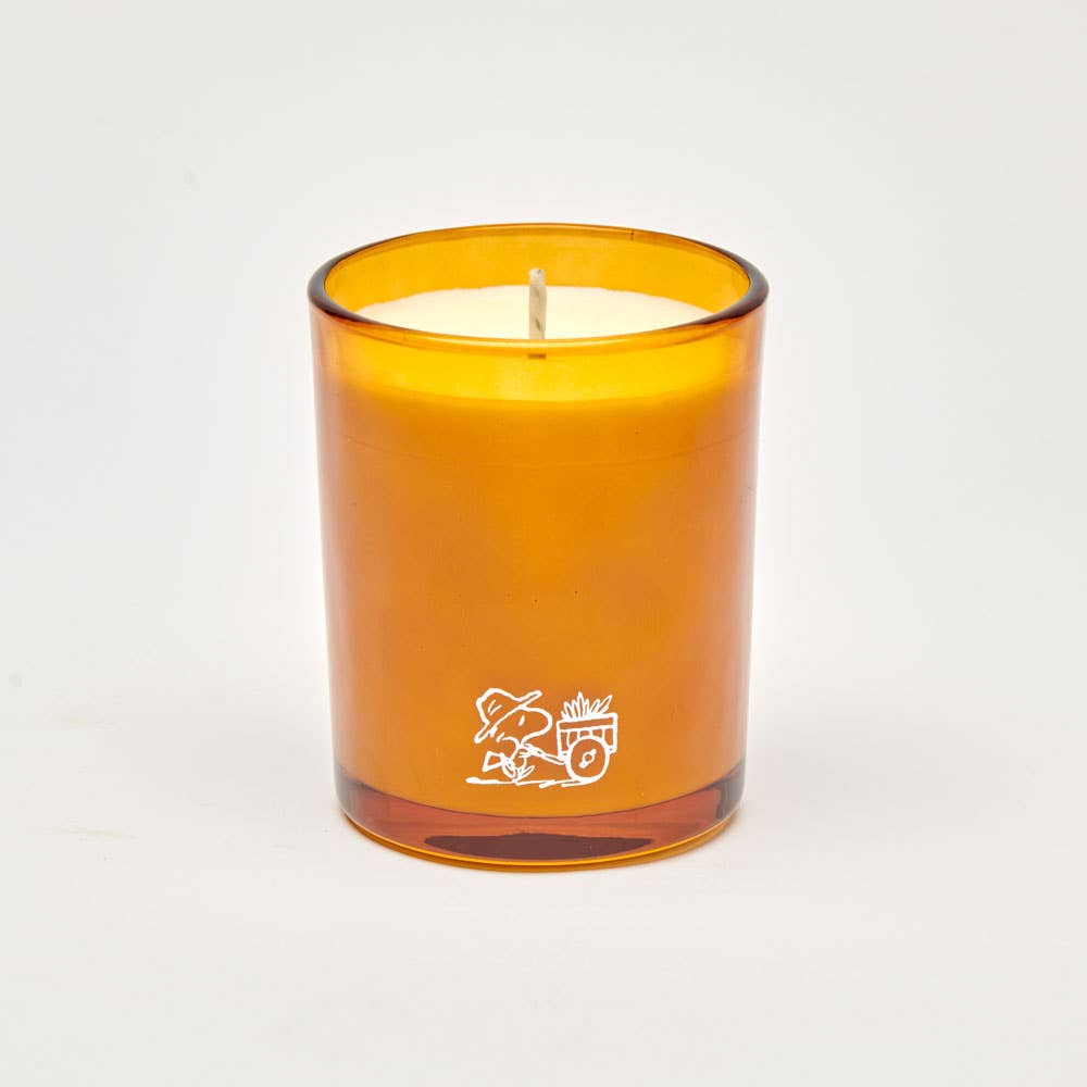 Magpie - Peanuts candle - Blooms | Scout & Co