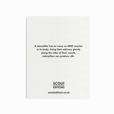 Scout Editions - Caterpillar mini card | Scout & Co
