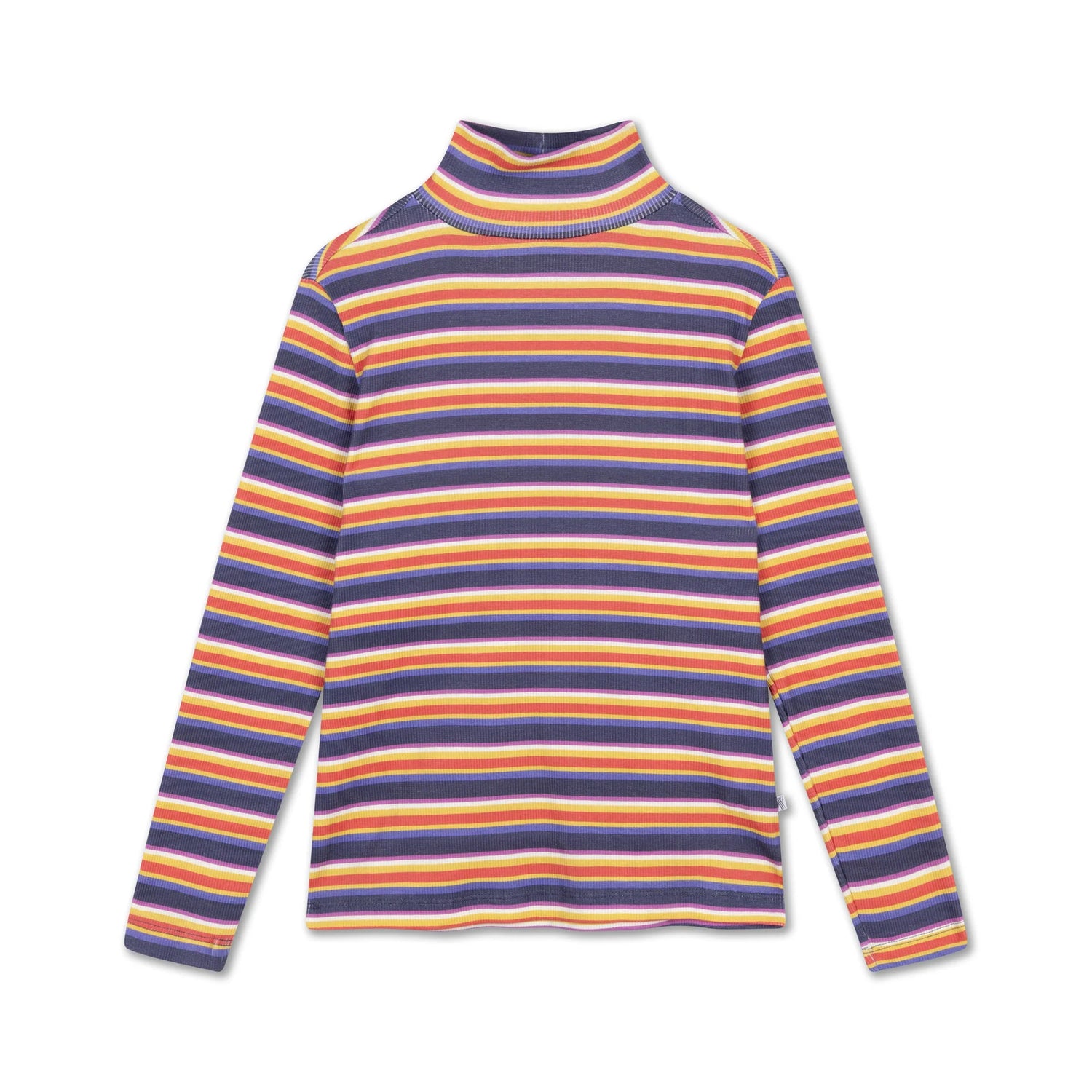 Repose AMS - Turtle neck - Multi Stripe | Scout & Co