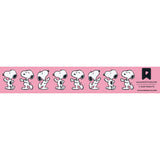 Pipsticks - Peanuts stickers grab bag | Scout & Co