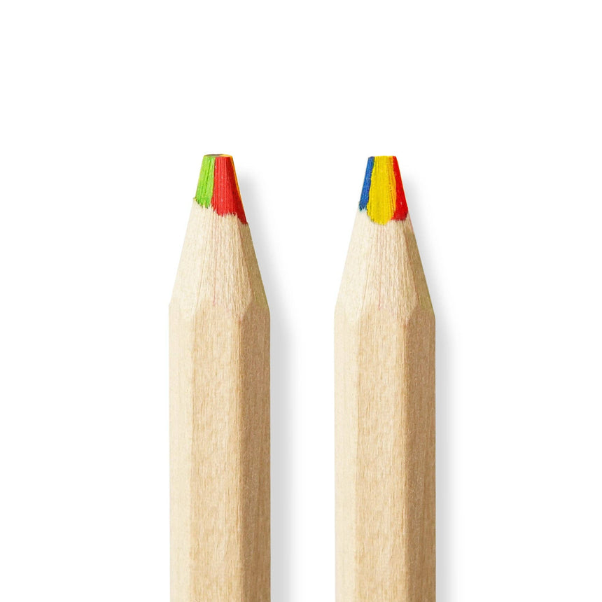 Odd Goose - The Jumbo multicolour colouring pencil | Scout & Co