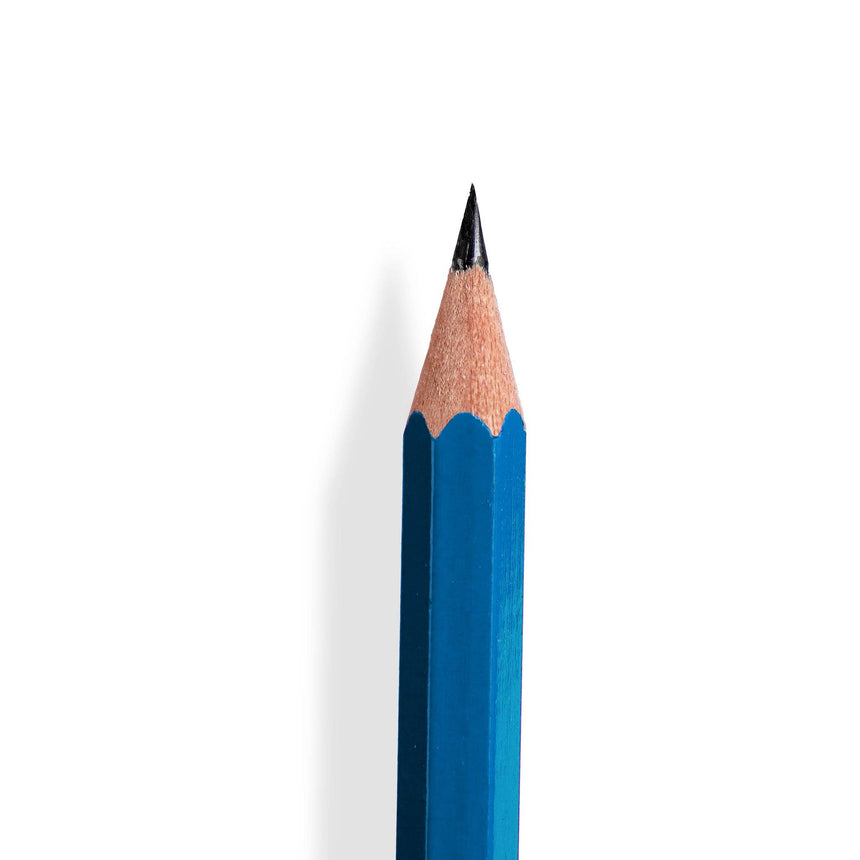 Odd Goose - Pi foil-printed pencils - set of 3 | Scout & Co