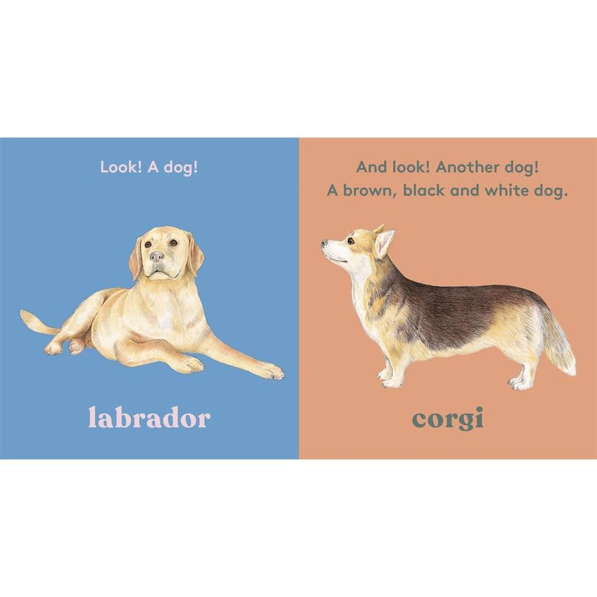 Look! A Dog - board book - Anya Serota | Scout & Co