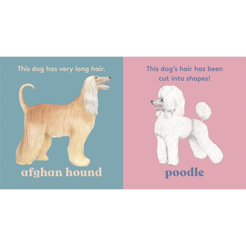 Look! A Dog - board book - Anya Serota | Scout & Co