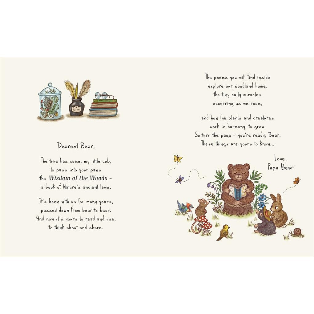 Brown Bear Wood: Wisdom Of The Woods - 40 poems to treasure - Rachel Piercey | Scout & Co