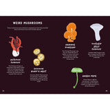 All About Mushrooms - Alice Pattullo | Scout & Co