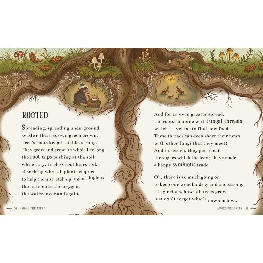 Brown Bear Wood: Wisdom Of The Woods - 40 poems to treasure - Rachel Piercey | Scout & Co