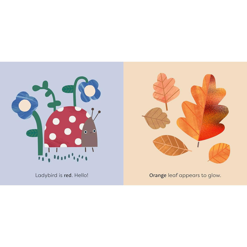 MiniTouch: Nature - touch-and-feel first numbers board book | Scout & Co