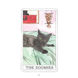 Kitten Oracle: 50 Cards & Guidebook - Megan Lynn Kott | Scout & Co