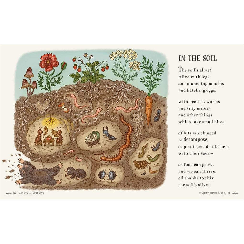 Brown Bear Wood: Wisdom Of The Woods - 40 poems to treasure - Rachel Piercey | Scout & Co