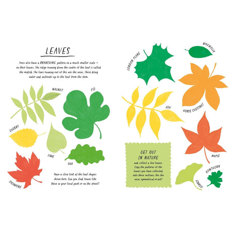 Drawn by Nature: Patterns - Emily Rand | Scout & Co