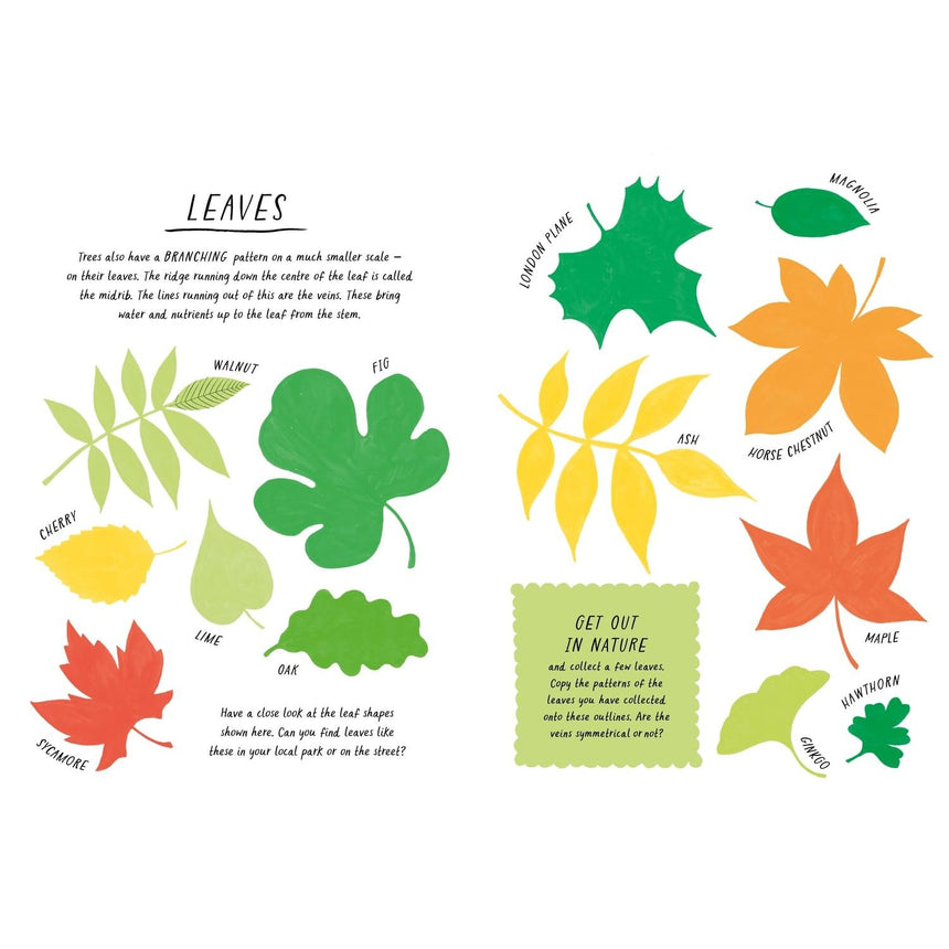 Drawn by Nature: Patterns - Emily Rand | Scout & Co