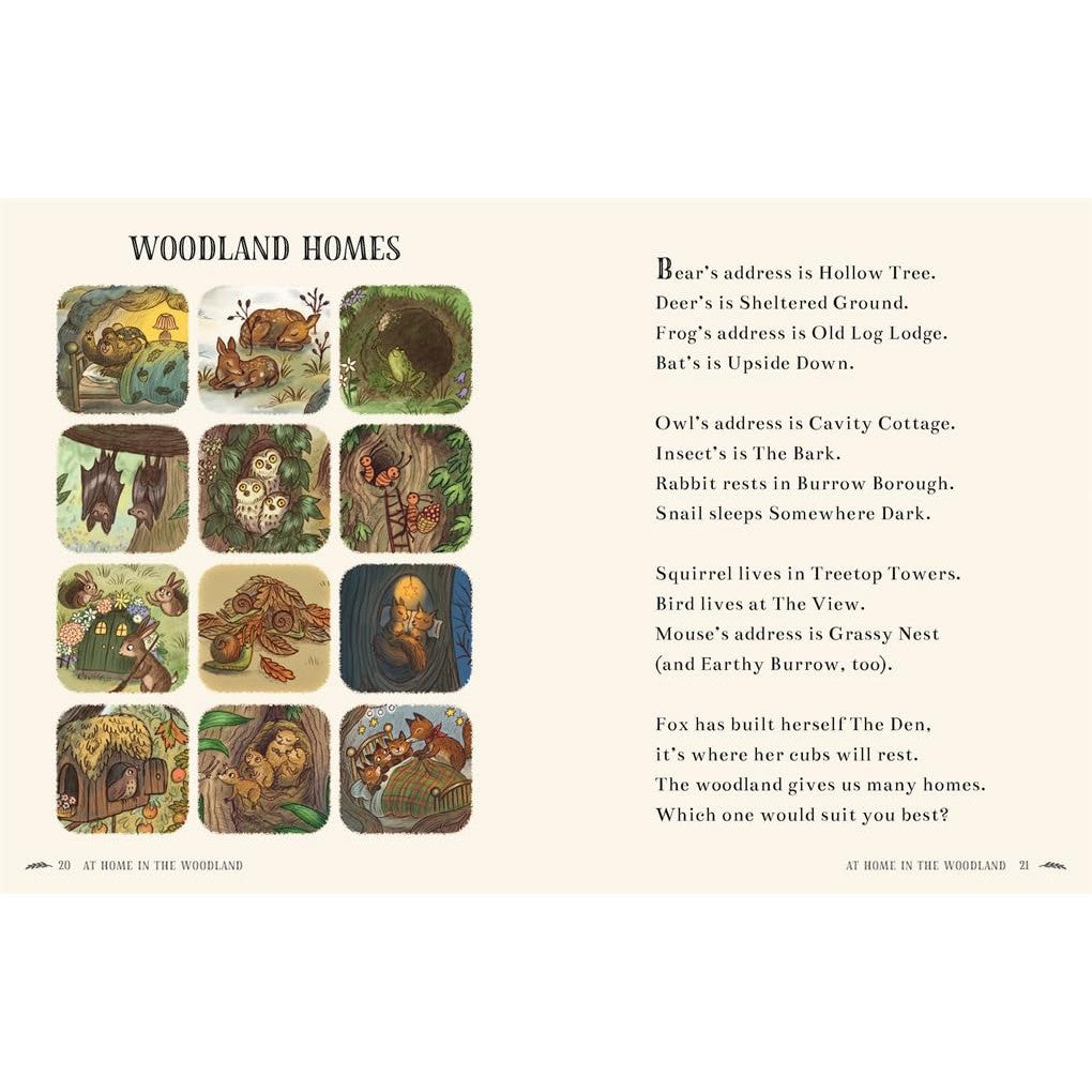 Brown Bear Wood: Wisdom Of The Woods - 40 poems to treasure - Rachel Piercey | Scout & Co