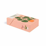 Houseplant Gardener In A Box - Jane Perrone | Scout & Co