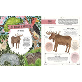 Wild: A Child's Guide To The Animal Kingdom - Jack Ashby | Scout & Co