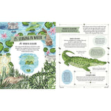 Wild: A Child's Guide To The Animal Kingdom - Jack Ashby | Scout & Co