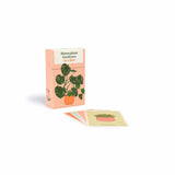 Houseplant Gardener In A Box - Jane Perrone | Scout & Co