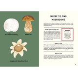 All About Mushrooms - Alice Pattullo | Scout & Co