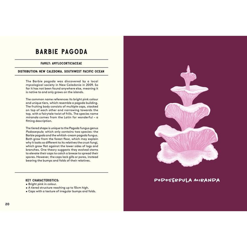 All About Mushrooms - Alice Pattullo | Scout & Co