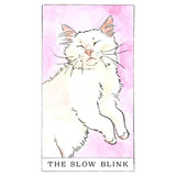 Kitten Oracle: 50 Cards & Guidebook - Megan Lynn Kott | Scout & Co