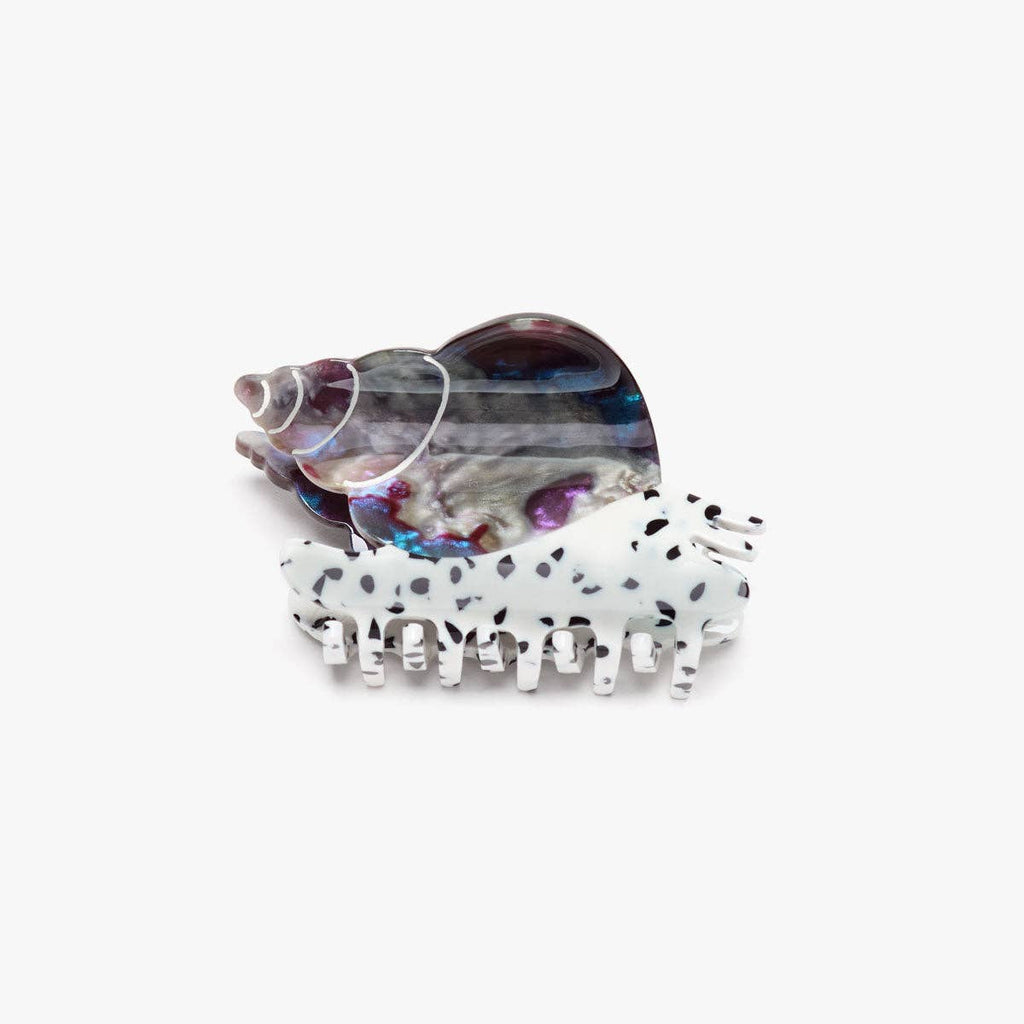 Winona Irene - Spotted Whelk Sea Snail Shell | Scout & Co