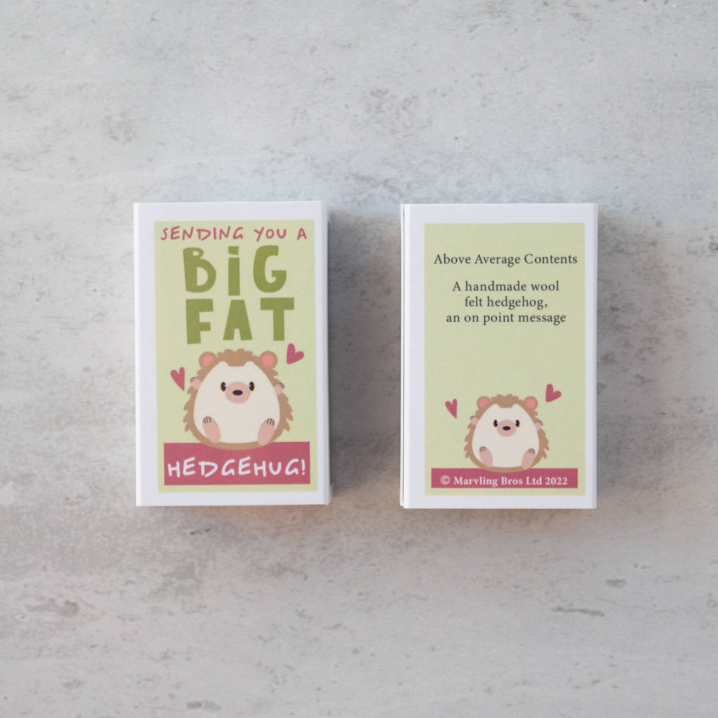 Sending You A Hedgehug In A Matchbox | Scout & Co