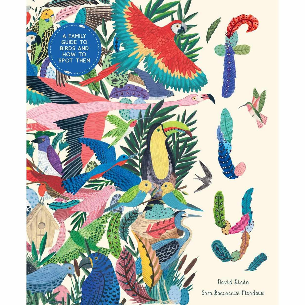 Fly: A Child's Guide to Birds & How to Spot Them - David Lindo | Scout & Co