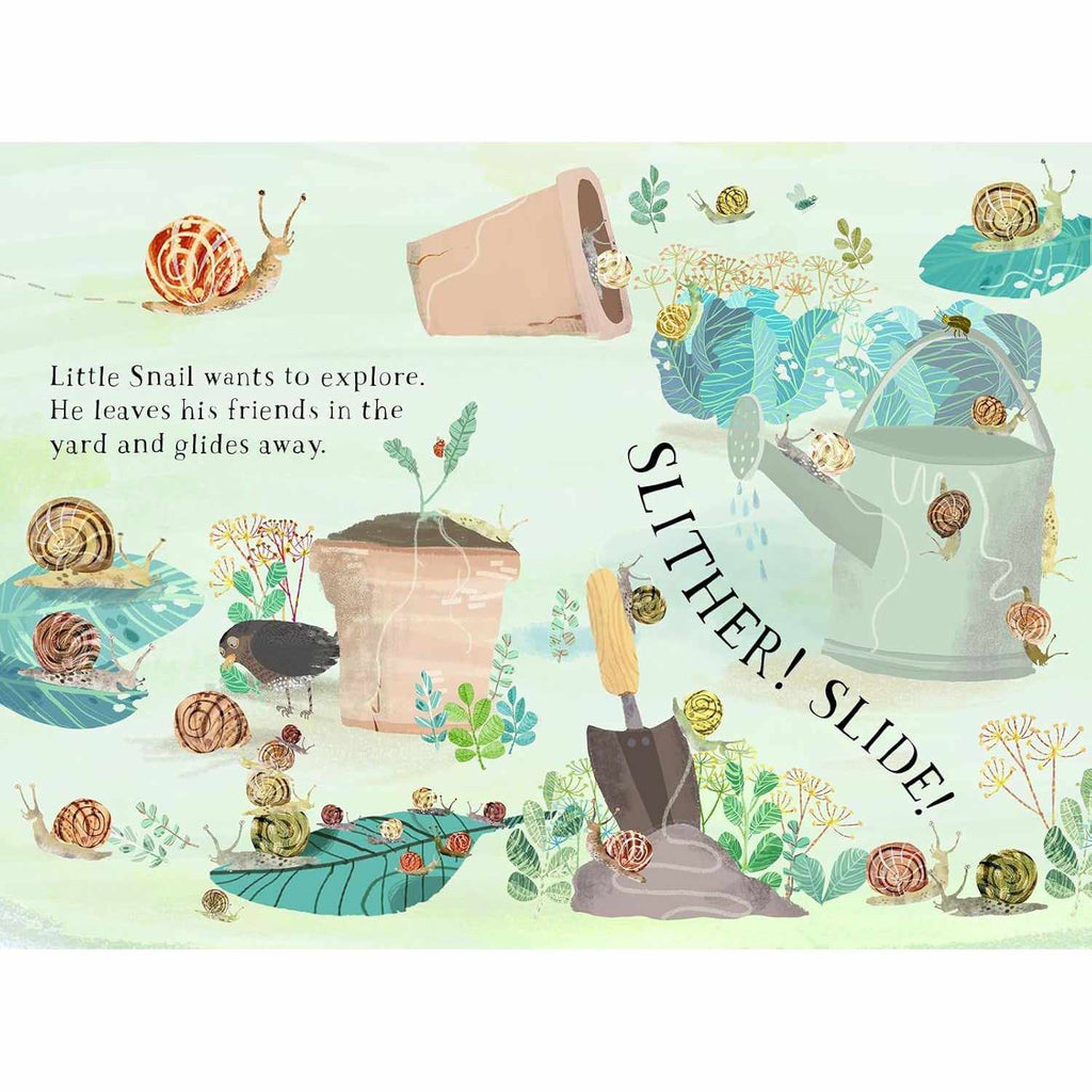 Little Snail's Book Of Bugs board book - Yuval Zommer | Scout & Co