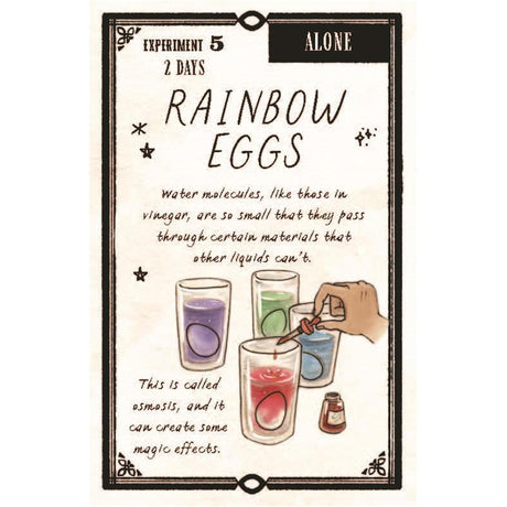 The Wizard's Box Of Science Experiments - Amanda Wood | Scout & Co