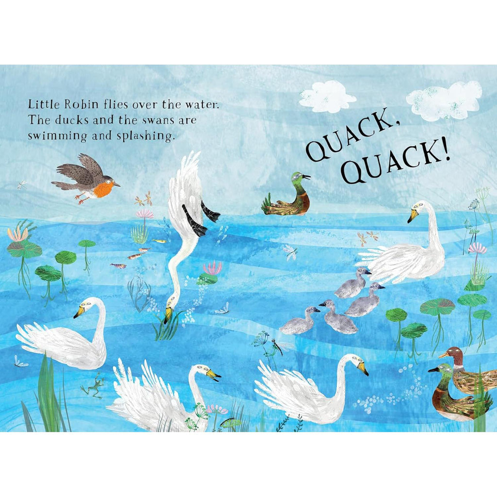 Little Robin's Book Of Birds board book - Yuval Zommer | Scout & Co