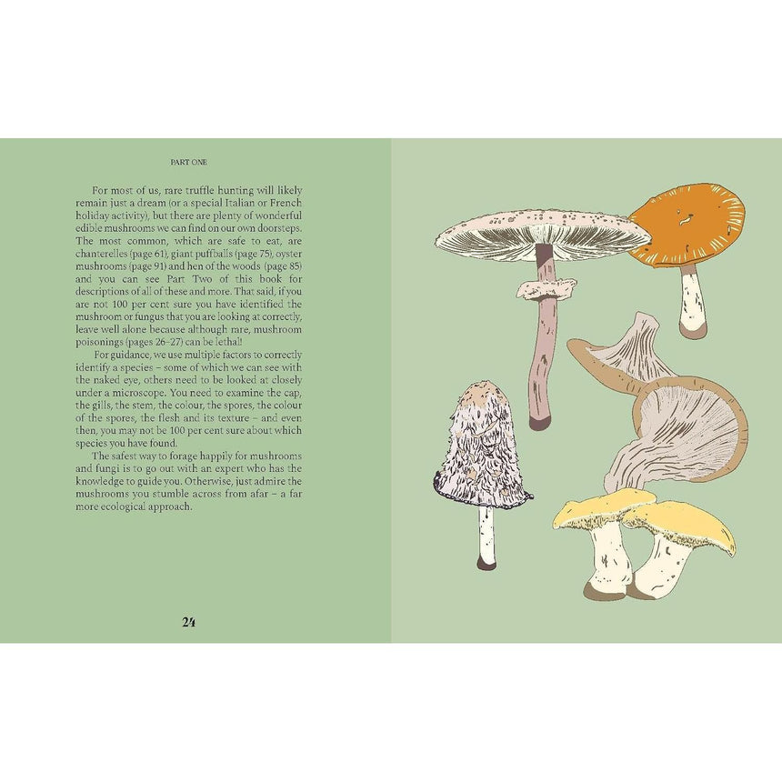 Mushrooms: A Guide for the Curious - Susan E Clark | Scout & Co