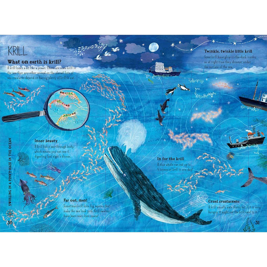 The Big Book Of The Blue - Yuval Zommer | Scout & Co
