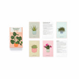Houseplant Gardener In A Box - Jane Perrone | Scout & Co
