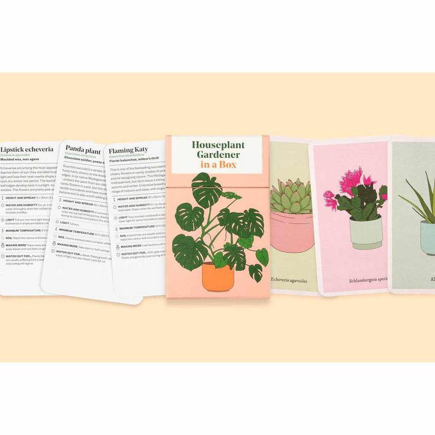 Houseplant Gardener In A Box - Jane Perrone | Scout & Co