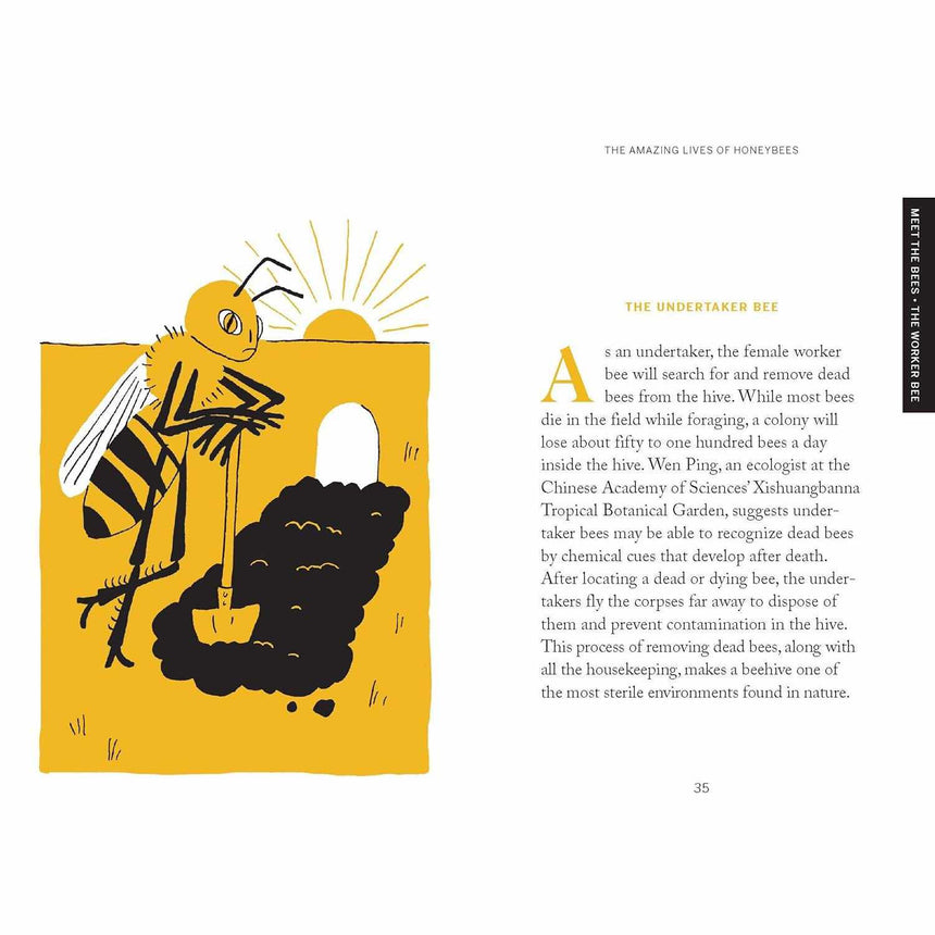 Pocket Nature: Beekeeping - Ariel Silva | Scout & Co
