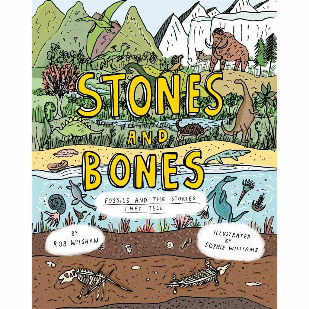 Stones and Bones: Fossils and the stories they tell - Rob Wilshaw | Scout & Co