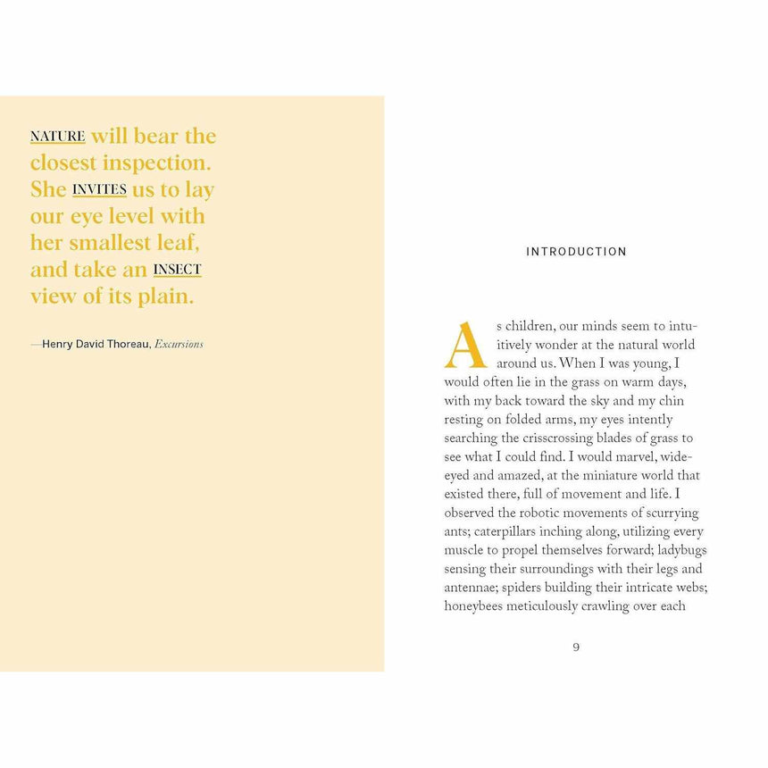 Pocket Nature: Beekeeping - Ariel Silva | Scout & Co