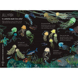 The Big Book Of The Blue - Yuval Zommer | Scout & Co