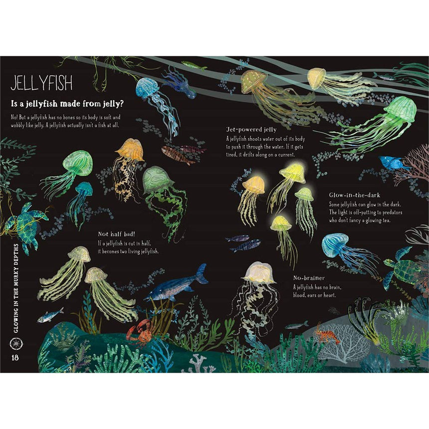 The Big Book Of The Blue - Yuval Zommer | Scout & Co