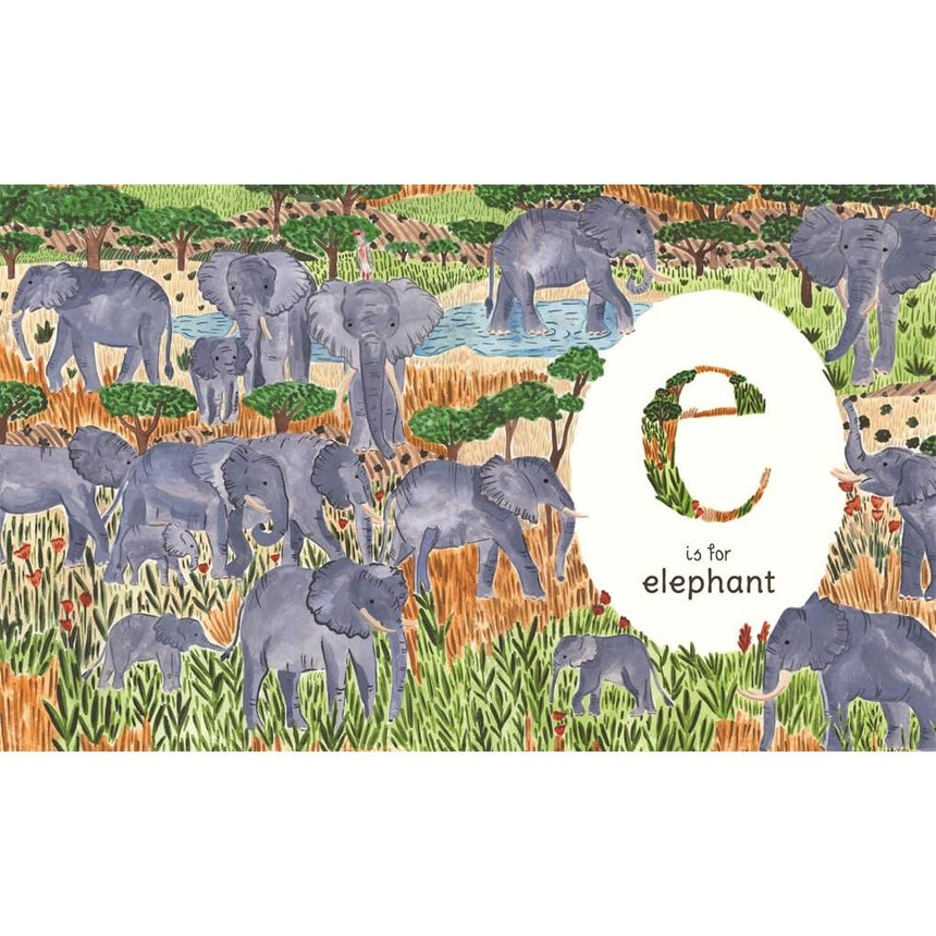 A to Z: An Animal Alphabet - Sara Boccaccini Meadows
